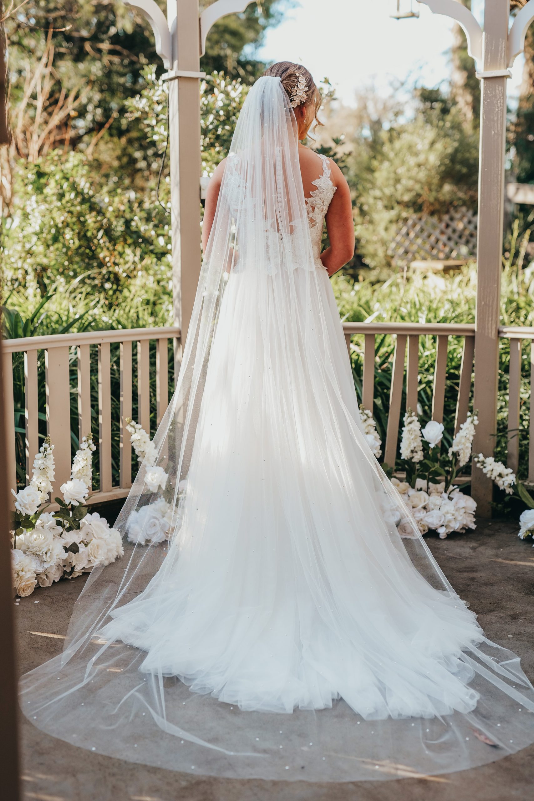 Veil Collection – Engaging Eve